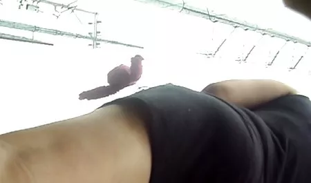 Sexy cambiado y traviesos chichonas y nalgonas vecinos